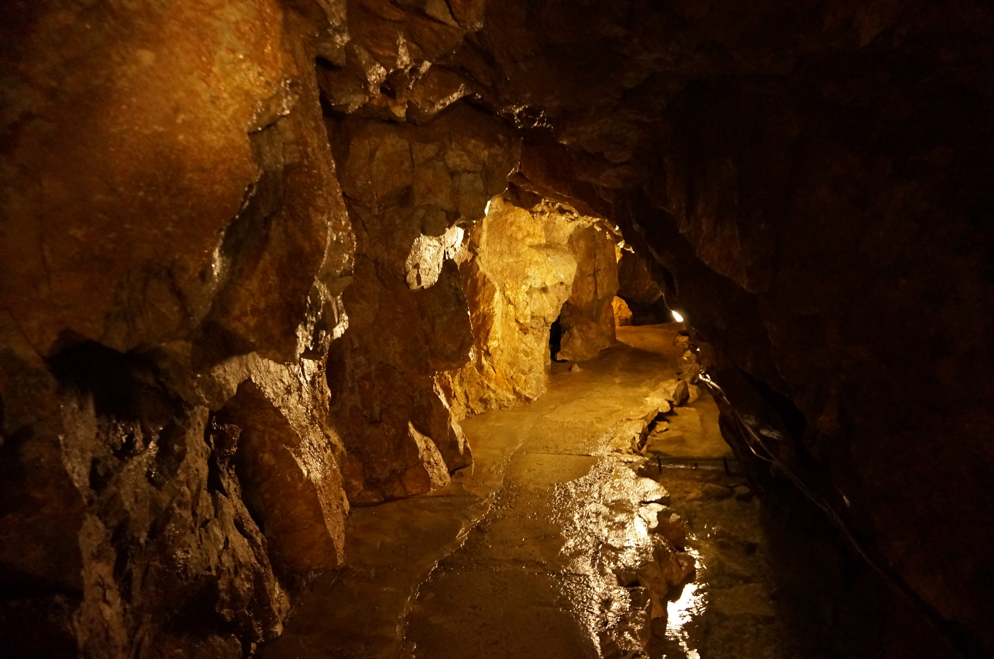 プラトン の 洞窟